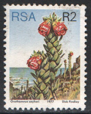 South Africa Scott 491 Used - Click Image to Close